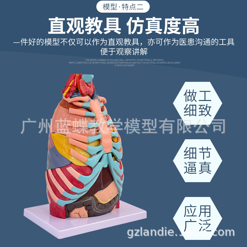 ������ǻ���������ģ������ηκ���ϵͳģ�ͺ�����ҽѧ�̾�