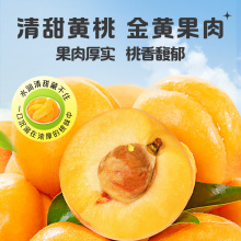 �S�Ҹɡ����l��300g��؜�������T����������e��ʳ���ӹ���