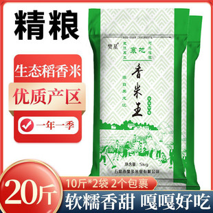 �|������10��20����������׈A�������������l���S��ֱ�l���l