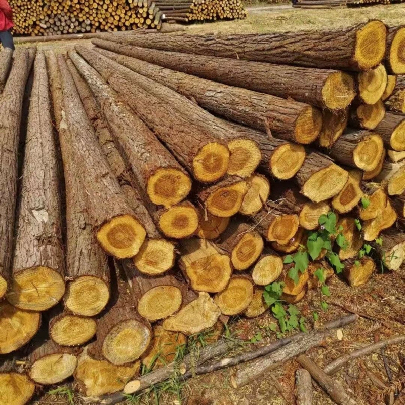 Технические характеристики кедровых бревен и свайных деревьев для берега реки 2.4m 6 сосновых садовых опорных столбов