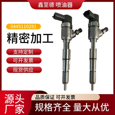 Diesel fuel injector assembly Oil pump, nozzle