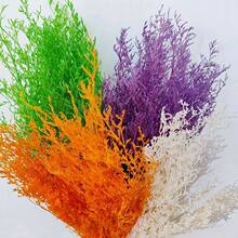 ���˲������������ɻ�װ�λ���ins����Ȼ�滨�����ڼ�diy�����仨