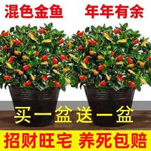 ���~���m�������ԾGֲ������҃ȿ͏d�[������ȩ���B