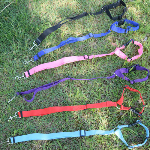 Amazon Pet Leash Car Safety Belt 2-in-1 Car Dual-Purpose Dog Belt Rear Seat Safety Rope