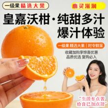纯甜多汁沃柑新鲜水果当季产地直供公司采购批发零售团购坏果包赔