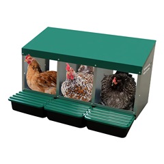 3穴家庭用産卵箱、売れ筋金属製産卵箱、鶏の巣箱、飼料家禽のためのソースメーカー、クロスボーダー専用