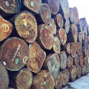 ���������͵ٰ�� �����S����ľ�� ��Ȼ����ľ�S�̈́�ľ����ذ�