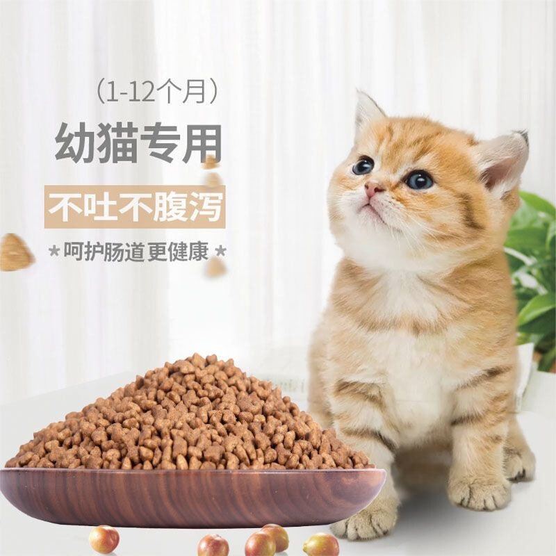 Kitten food for 1-12 months old cats, fish-flavored and beef-flavored main food for weaning period kittens and cubs