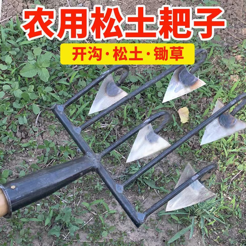 微信图片_202206302122524