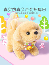 ����������늄���߹������ʿ���Ȯë�q�Y��羳�냺�����^�Ҽ�