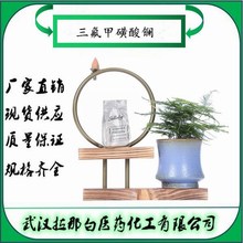 �����׻����|��52093-26-2�������׻������| ����98% 100g ���ǰ�