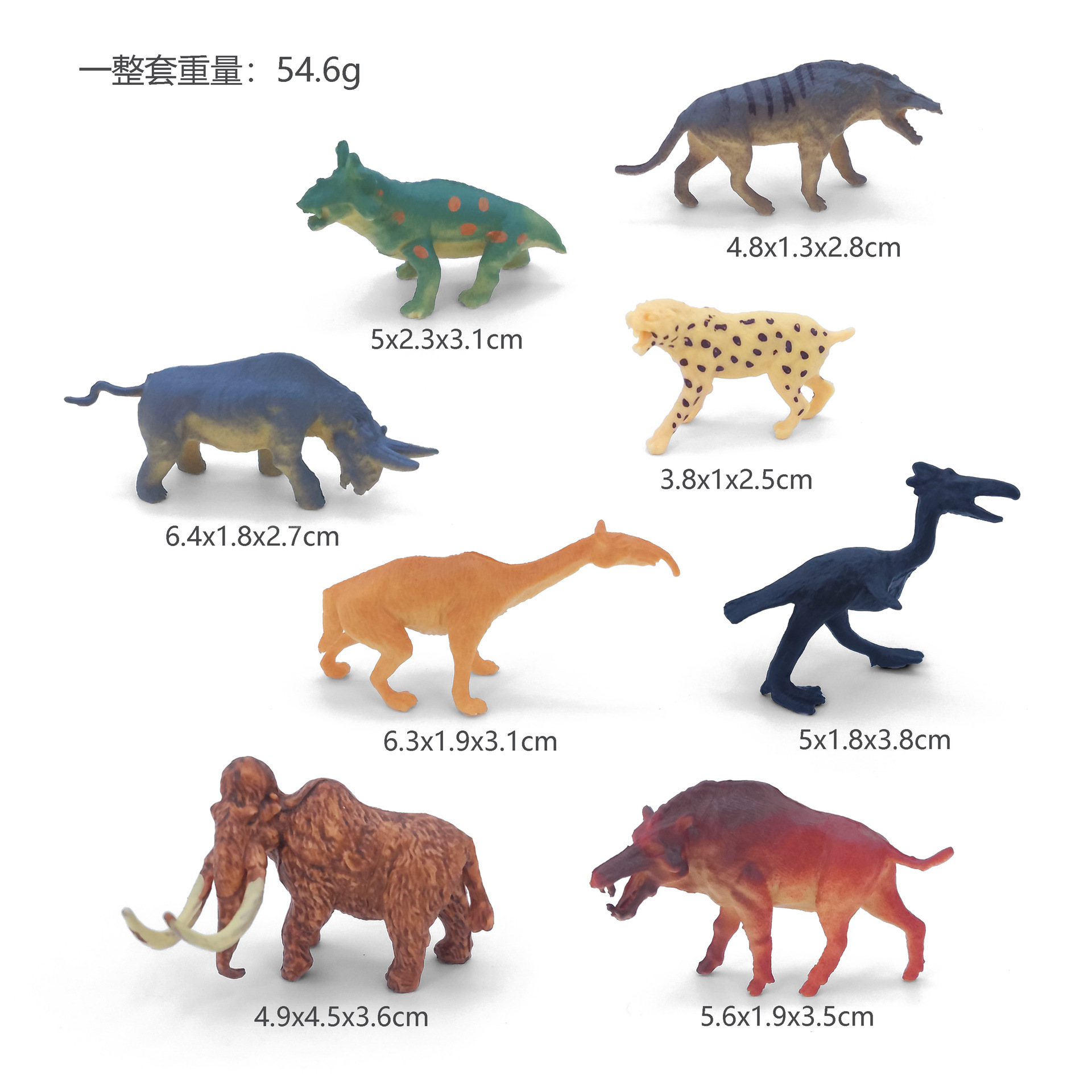 8 선사 시대 땅 [가방]