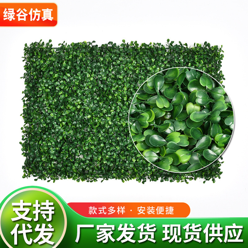 Renqiu Simulated Milan Grass Milan Plant Wall Artificial Turf Fake Green Plant Balcony Background Decorative Lawn Plant Wall Renqiu Simulated Milan Grass Milan Plant Wall Artificial Turf Fake Green Plant Balcony Background Decorative Lawn Plant Wall