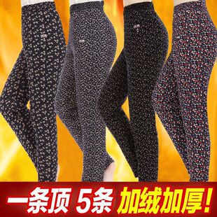 �ӽq�Ӻ��������q��ѝŮ�������ɱ�ůѝ�������Ӷ�����ѝ