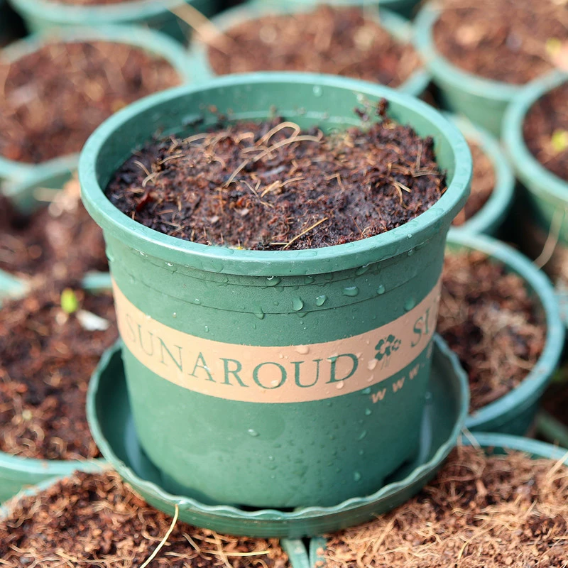 Цветочный горшок + почва, подходящая для семенного шара Корневой цветочный горшок почва подходит для увлажняющей дышащей почвы с низким галлоном