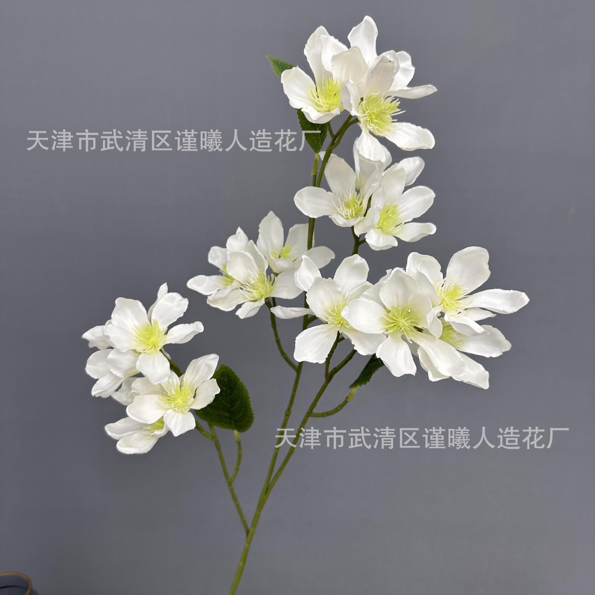 라일락