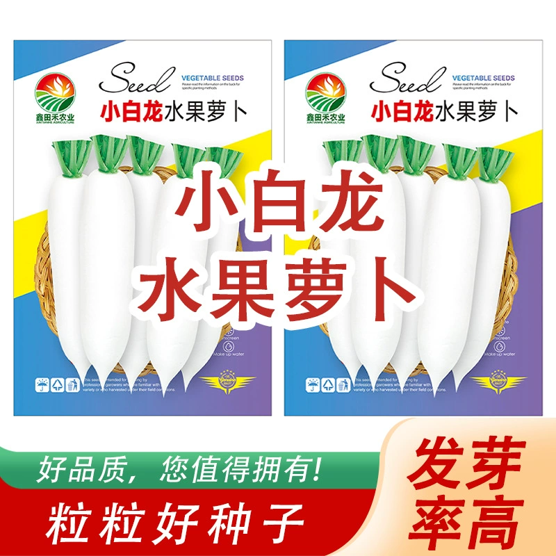 Семена белого редиса «Драконья фруктовая редька» — вкусные и освежающие семена белой редиски, напрямую от производителя.