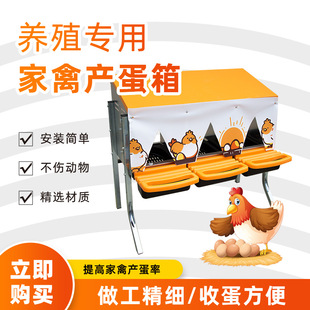 ɢ�B�u�C�µ��C����a���䲻�P����������u������a�����u����