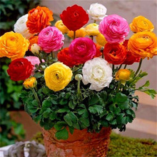 �ļ���ëݢ�N�����ذ������ĵ����۹������̨���Ի����_���͏d