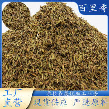 供应百里香烧烤烘焙西餐调味品意大利披萨牛排调味香辛料百里香