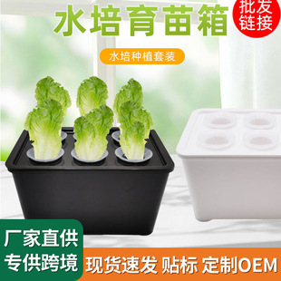 ˮ��Nֲ�������ͥ�Nֲ���ӻ�ꖹ�ˮ�������҃ȟo����ˮ��Nֲ��