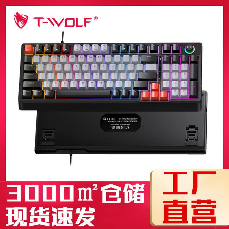 T-Wolf Thunder Wolf T50 True Mechanical Keyboard Green Axis Double Color 97-Key Customized E-Sports Rgb Retro Keyboard