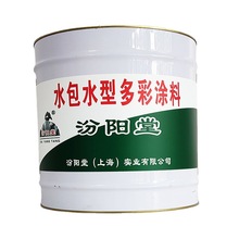 水包水型多彩涂料，汾阳堂，水包水型多彩涂料，施工简便，用期长