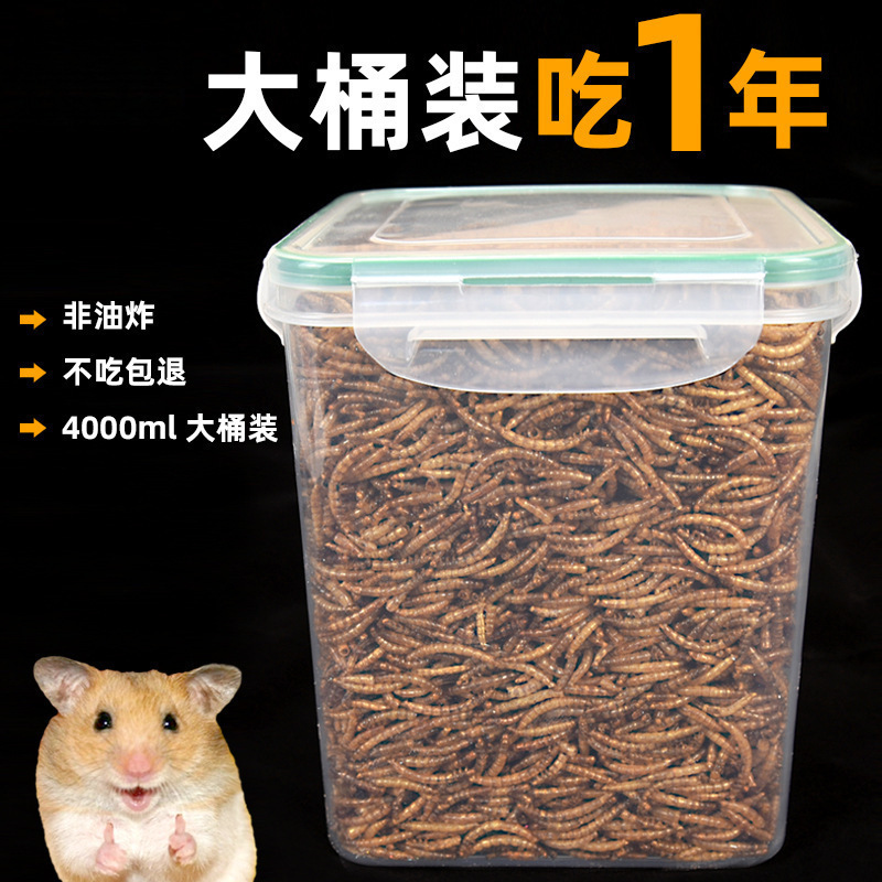 Hamster Mealworm Dried Snack Feed for Golden Hamsters, Specialized Nutritional Grain Main Food, Dried Mealworms, Large Capacity