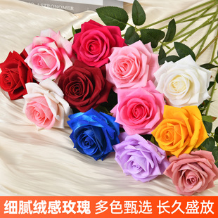 ���õ�q������õ�廨 �����[���ٻ��͏d�����廨�ɻ��[�O�b�
