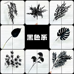 ɫϵ滨ٻɫȼõ尵ڸʽLcY߻ˇ