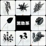 黑色系仿真花假花暗黑色尤加利玫瑰暗黑哥特式风婚庆婚礼道具花艺