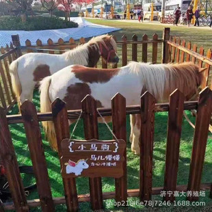 ���ۃ�ͯ�T�����㰫�R�������u�����O���m���_�R�� һƥ�R�����X