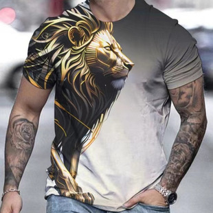 �S��ֱ�N��ʿ��ɫ3Dӡ���{��T��2024����͸��ٴ�����һ�����l