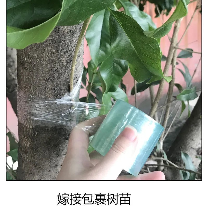 微信图片_20210302151059