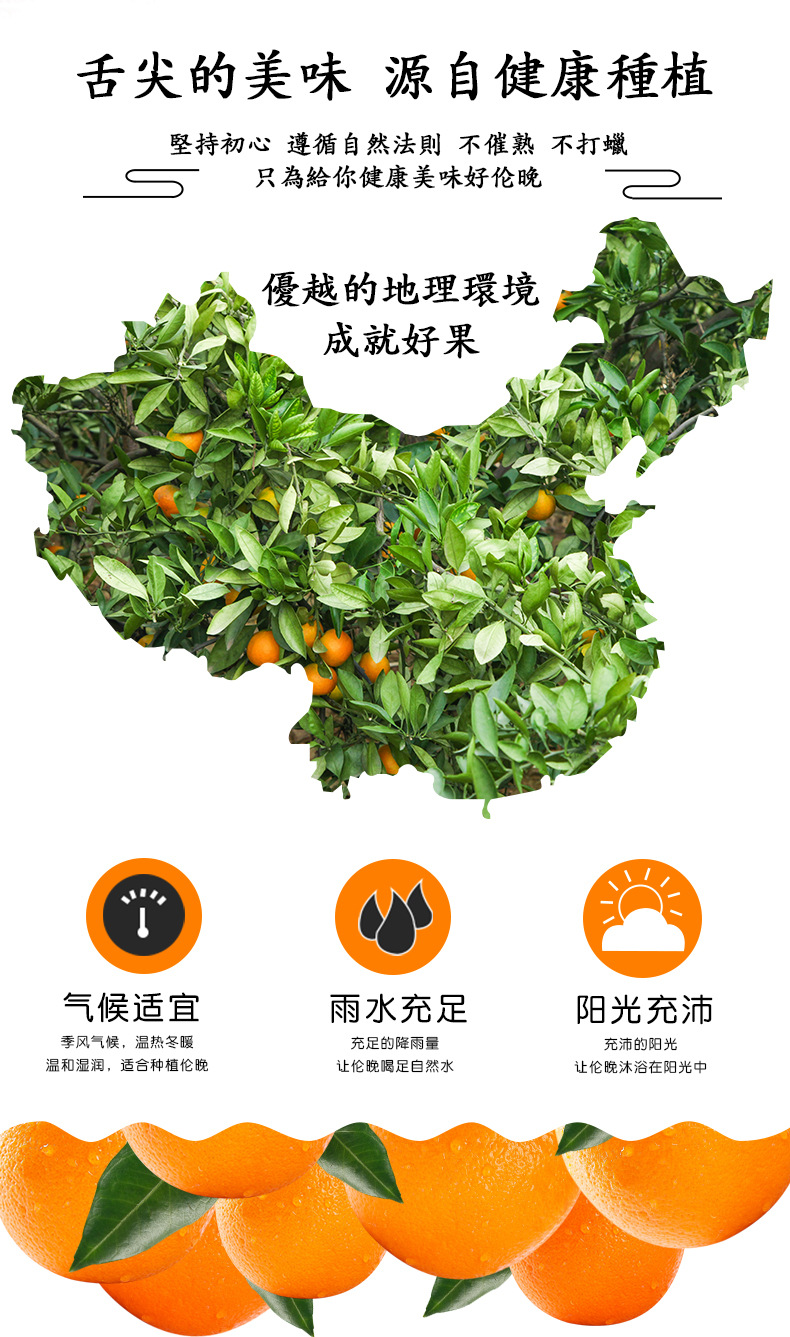 11240ziguiqicheng_03