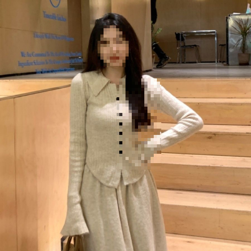 polo领针织毛衣连衣裙子女2025新款秋冬大衣内搭修身气质长裙套装|undefined