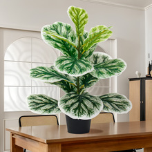 ����Gֲ���~��15Ƭ���J�~�ӹ��վە����滨���b�PVC�����ֲ��