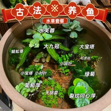 �ŷ��B�~���σ���ˮ�|�o��ˮ���쾰�ײ;G�ŹھG������ܽ�ظ�Ƽ