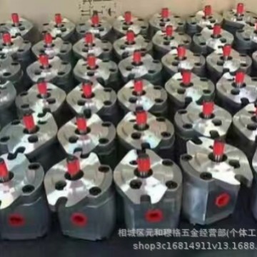 双联齿轮电动泵CBQT-F525/F410-CFP CBQT-F525/F416-CFP液压泵