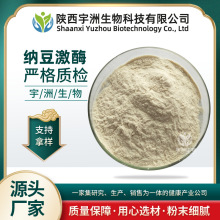 纳豆激酶20000FU/ 纳豆粉纳豆提取物食品级原料粉厂家现货100g/袋