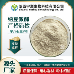 ナットウキナーゼ90% ナットウキナーゼ ナットウキナーゼ卸売 ナットウキナーゼ1g20000FU 100g