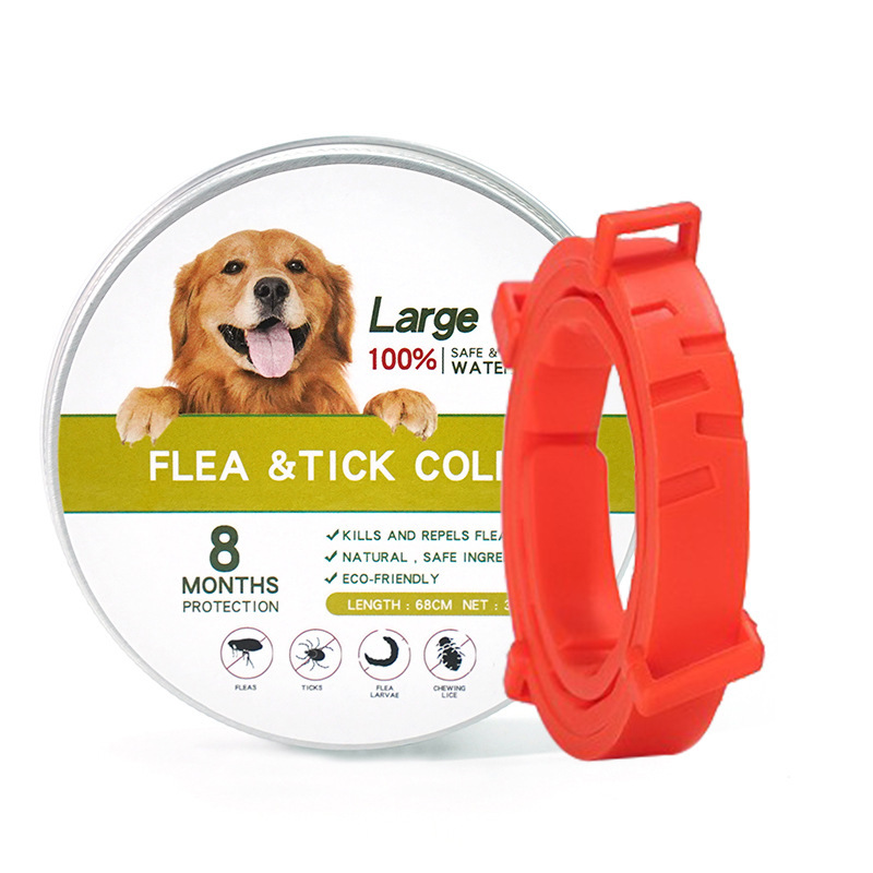 흰색 상자 긴 주황색 칼라