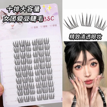 10�Ŵ������nϵŮ�F�۶��ٽ�ë�������������ֆδطֶ�ʽ�۽�ë