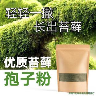 ̦�\�N�ӷ�ĩ��ˮʯ��ɽ��ˮʯ�辰���r����̦�N��̦�\����