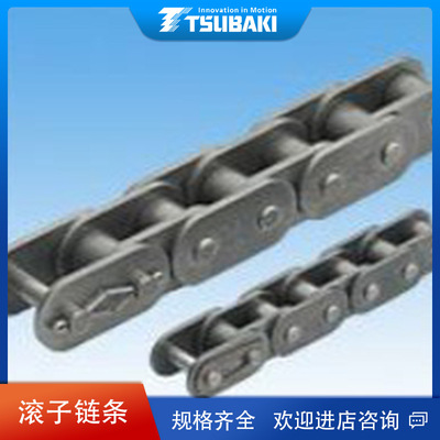 原裝日本TSUBAKI椿本鏈條RF60-1直鏈板樣式滾子鏈代理商直供
