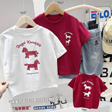 2026�Ŀ�ͯ�b��ͯ��ͯ��ͨӡ���R����Ф�����|���ж���T�����l