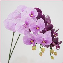��Ʒ�|���滨�ָк����m�ҾӘӰ��g�b廨�[����c�쾰���ϼٻ�