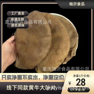 ë�����l5���b���r���~Ƭţ��ǧ�Ӷ�ţ���~����ţ�s�ؑc���ʳ��