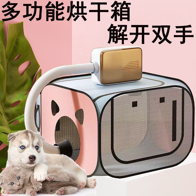 01002186-7c73-4895-a2fa-7b99c6391df4.jpe