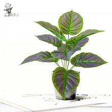 ����Gֲܛ�b�ٻ����滨�����쾰���W�L�Ҿ��b[�O�t�O���~�辰